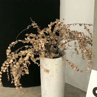 兽设配色搭配思路兽圈社群